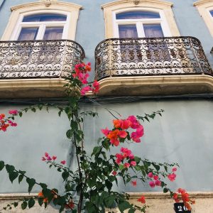 Blue House Perfect Sketching material Portuguese art holidays with Julie Sajous
